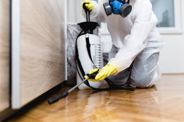 Best Best Pest Control Companies  in Dentsville, SC