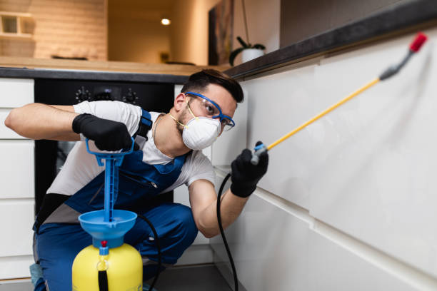 Best Mosquito Control Services  in Dentsville, SC