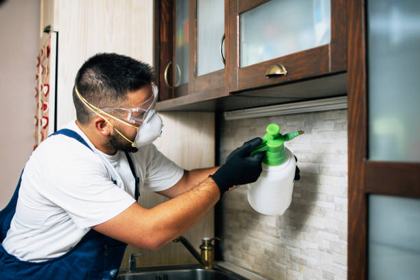 Best Pest Control Near Me  in Dentsville, SC
