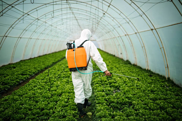 Best Best Pest Control Companies  in Dentsville, SC