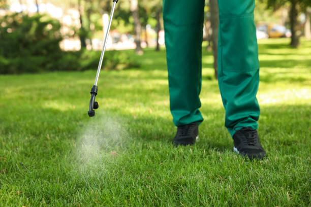 Best Mosquito Control Services  in Dentsville, SC