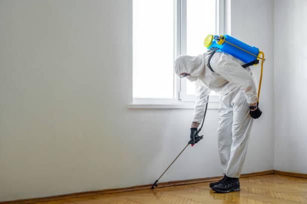 Best Emergency Pest Control  in Dentsville, SC