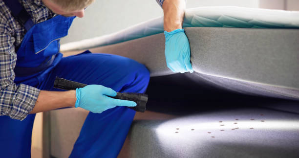 Best Emergency Pest Control  in Dentsville, SC