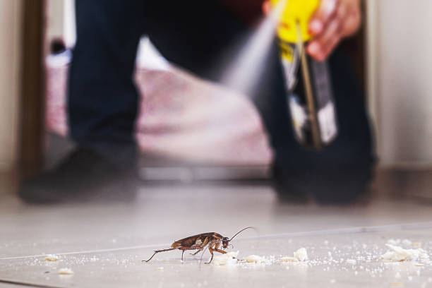 Wildlife Control Services in Dentsville, SC