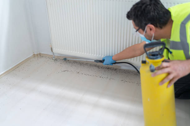 Flea Control Services in Dentsville, SC