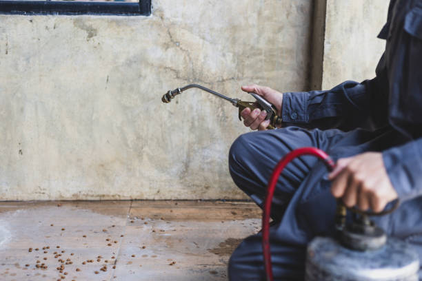 Best Pest Control Near Me  in Dentsville, SC